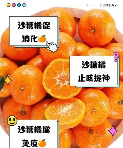 沙糖桔的功效与作用