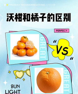 沃柑是橘子还是橙子橘子和橙子要如何区分