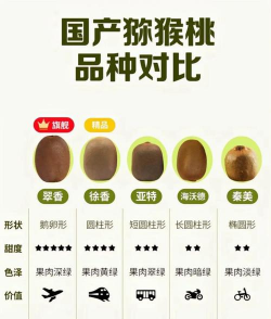 翠香跟徐香猕猴桃有什么区别