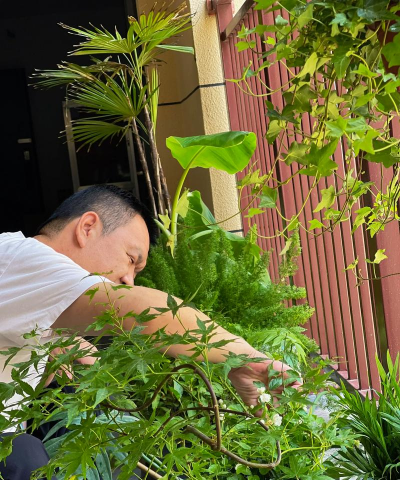 家庭养花用生根粉