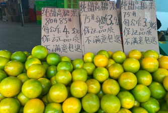 2020冰糖柑价格走势如何