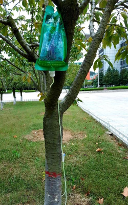 家庭养花用生根粉