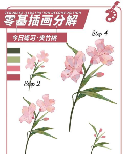 夹竹桃怎么修剪