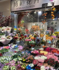 家庭养花用生根粉