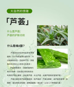 芦荟发的小芦荟怎么办