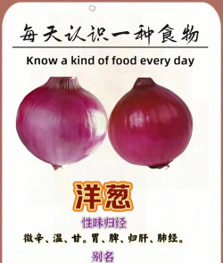 种洋葱叫什么