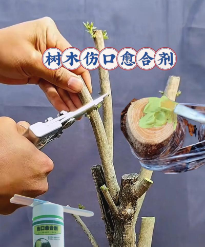 家庭养花用生根粉