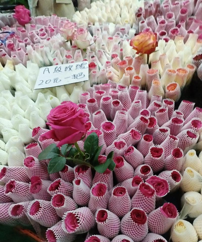 家庭养花用生根粉