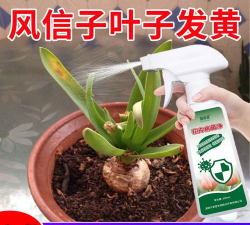 家庭养花用生根粉