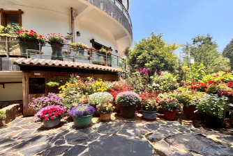 家庭养花用生根粉