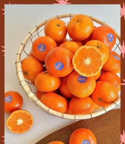 智利“探戈”柑橘生产步入快车道 智利“探戈”柑橘生产步入快车道