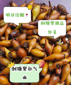 八角刺果子怎么吃