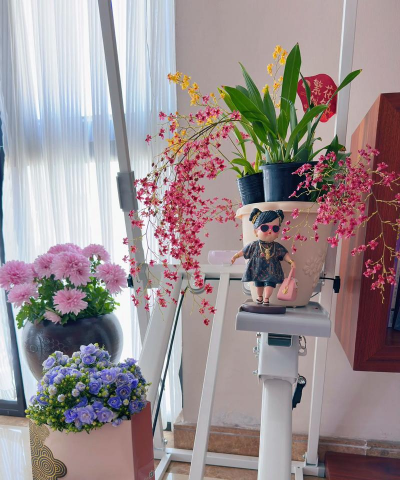 家庭养花用生根粉