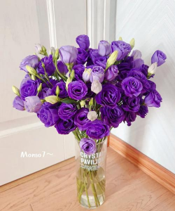 可吃的紫色鲜花有哪些