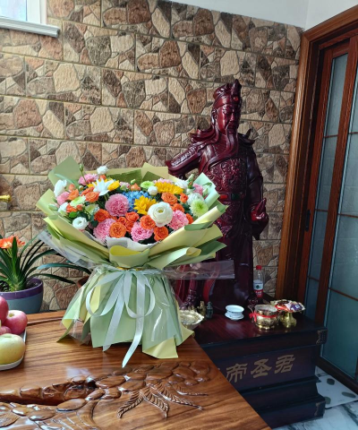 家庭养花用生根粉