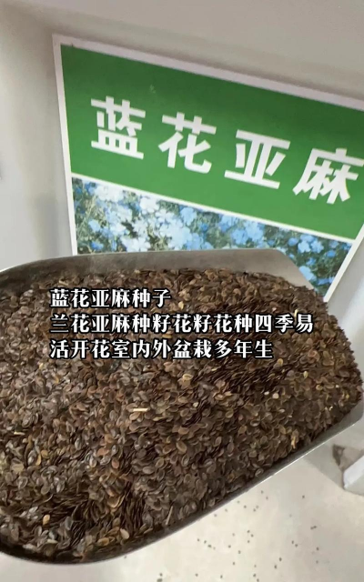亚麻花种子怎么种