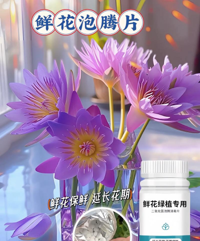 家庭养花用生根粉