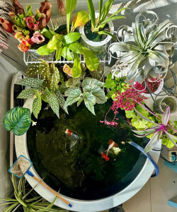 家庭养花用生根粉