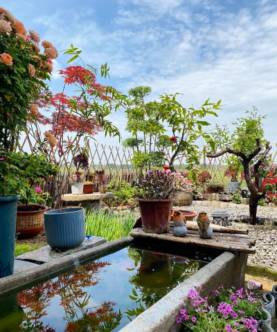 家庭养花用生根粉