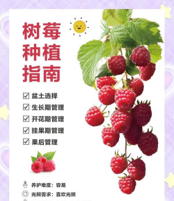 红莓怎么养殖