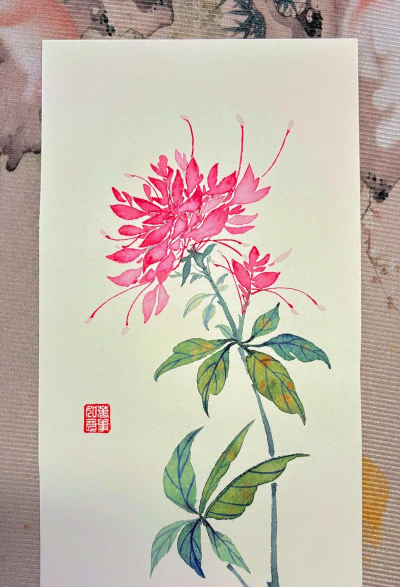 家庭养花用生根粉