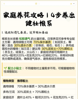 家庭养花用生根粉