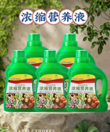 家庭养花用生根粉