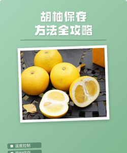 怎么样保存胡柚