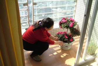 家庭养花用生根粉