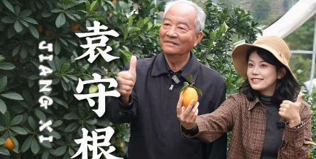 柑橘界脐橙中的霸道总裁——赣南脐橙