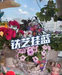 家庭养花用生根粉