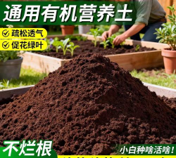 家庭养花用生根粉