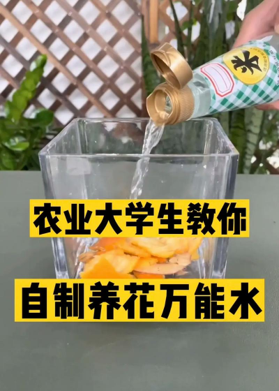 家庭养花用生根粉