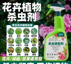 家庭养花用生根粉