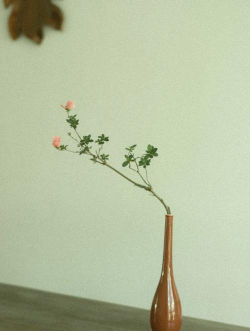 小口花插怎么清洗