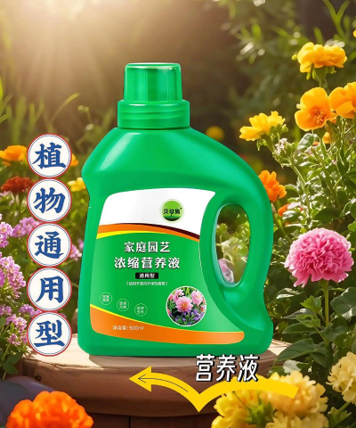 家庭养花用生根粉