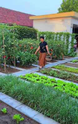 家庭养花用生根粉