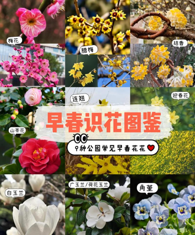 早春怎么养花好