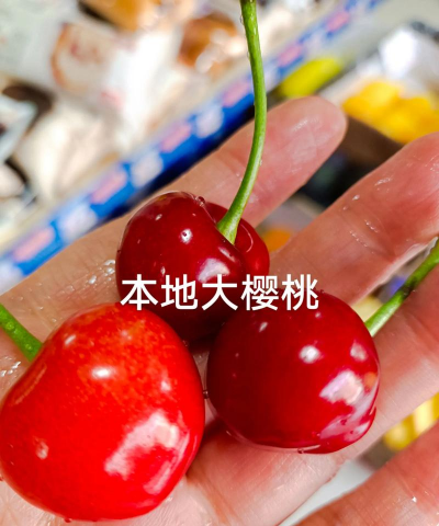 国产樱桃多久上市