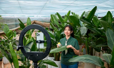 家庭养花用生根粉