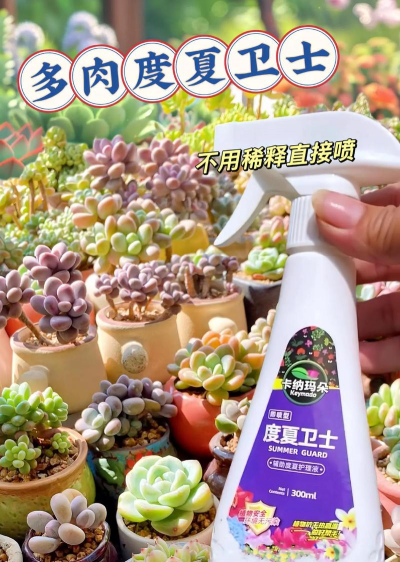 家庭养花用生根粉