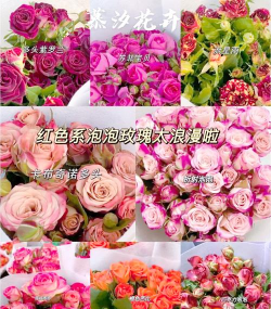 多头泡泡是什么