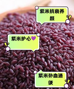 紫米粒多久可以生根