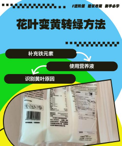 家庭养花用生根粉