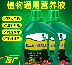 家庭养花用生根粉