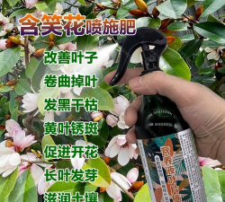 家庭养花用生根粉