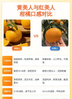 黄美人柑橘和红美人柑橘区别，哪个更好黄美人柑橘几月成熟