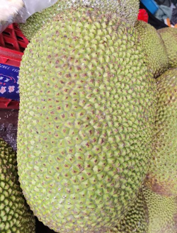 木波罗怎么保存