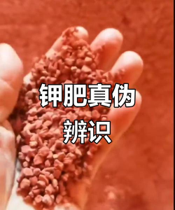 假化肥的8种典型骗术大曝光 假化肥的8种典型骗术大曝光