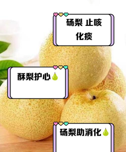 砀山梨怎么润肺